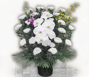 生花（菊）